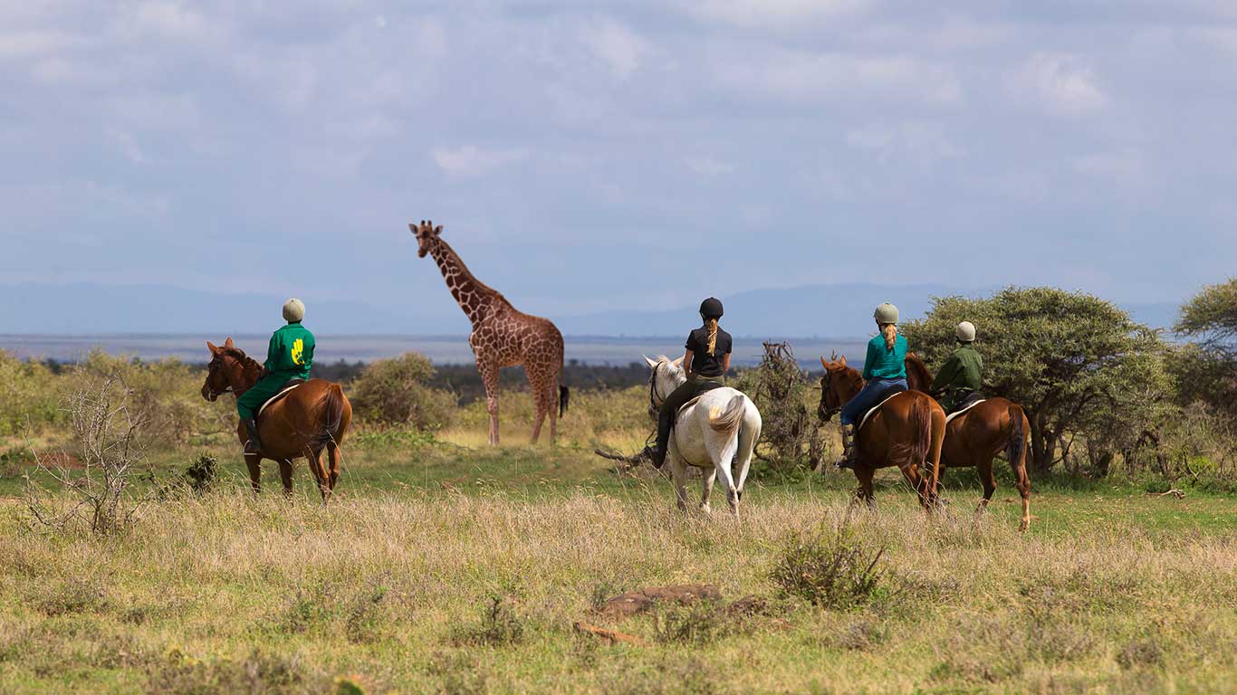 Day 03: Fly From Nairobi to Lewa Down