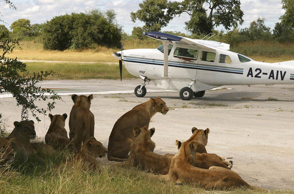 Day 10: Ngorongoro to Arusha/ Fly Out