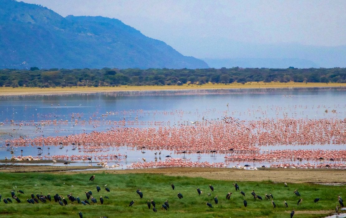 Day 8: Serengeti—Fly Lake Manyara/Ngorongoro Crater