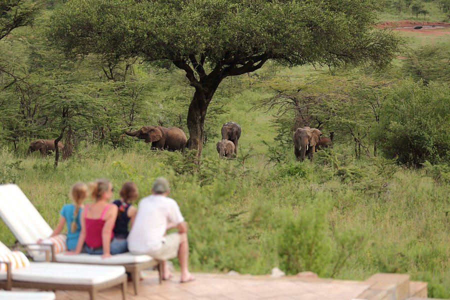 Day 09: Maasai Mara Game Reserve