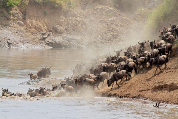 Day 7: Loisaba Conservancy—Flight to Maasai Mara