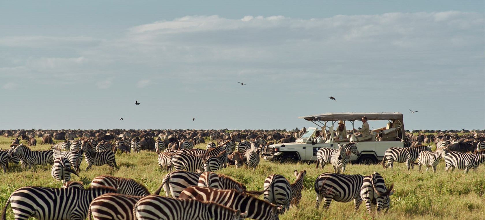 Day 08: Serengeti National Park – Full Day