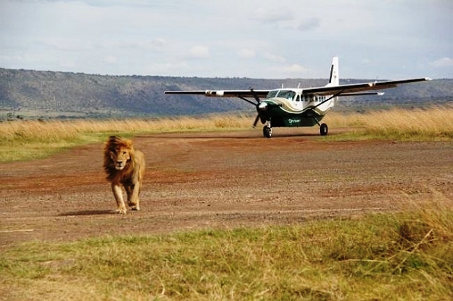 Day 10: Maasai Mara Game Reserve/Nairobi 