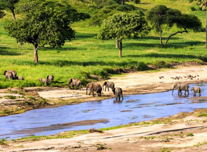 Trevaron Travel And Tours Ltd - Best Kenya Safari Operator