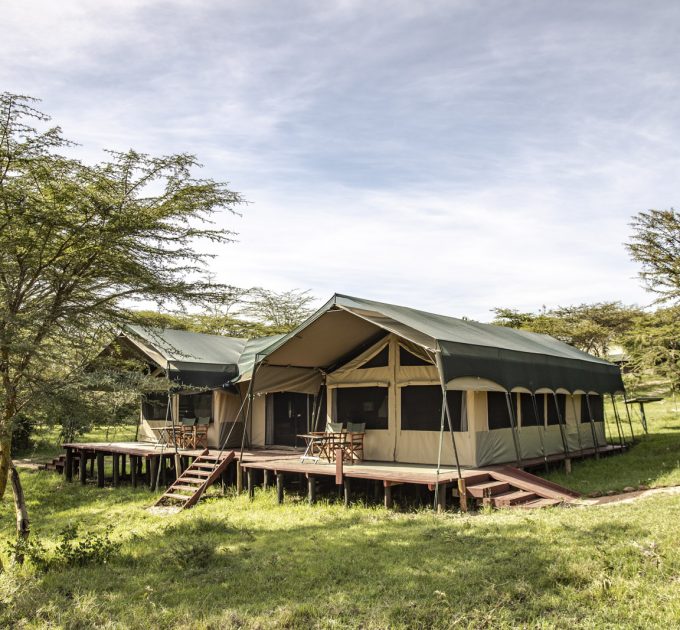 Trevaron Travel And Tours Ltd - Best Kenya Safari Operator