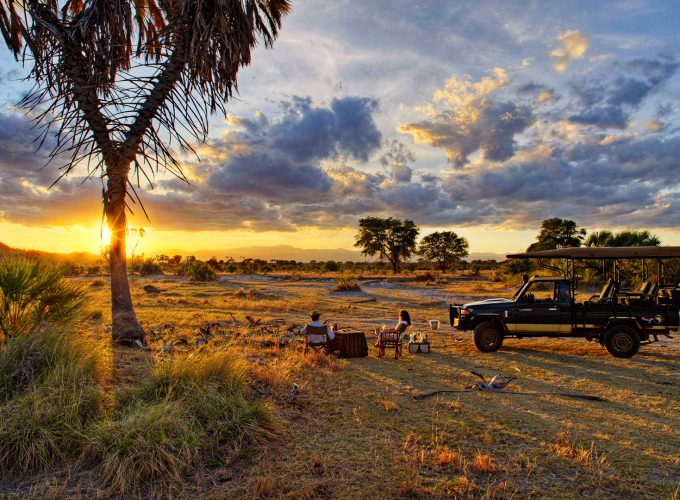 Trevaron Travel And Tours Ltd - Best Kenya Safari Operator