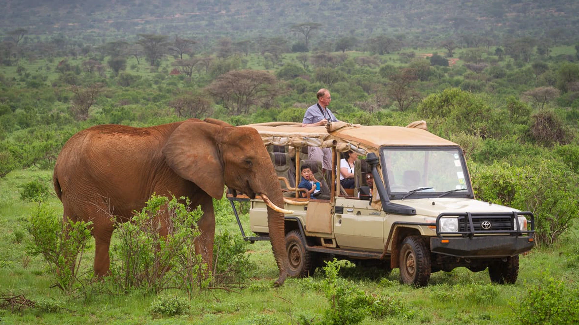 trevarontours