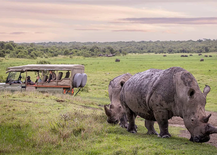 12-Day-Kenya-Photography-Safari-Day-5