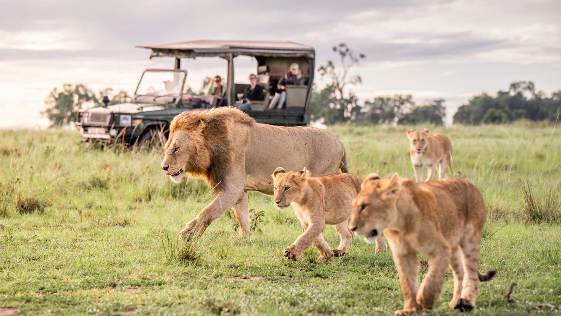 trevarontours