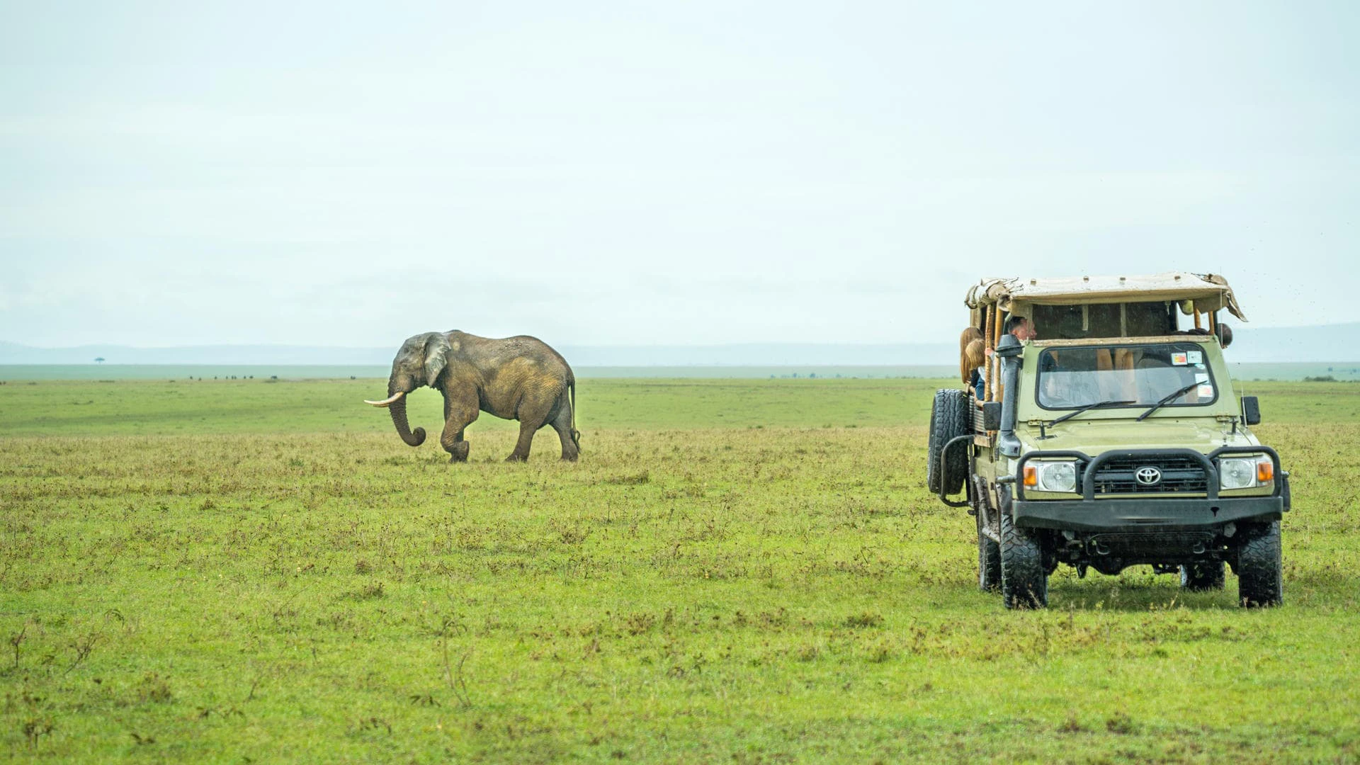 trevarontours